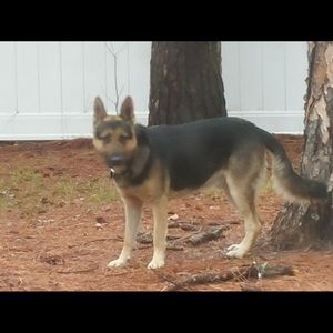 Meet your Posher, Gary